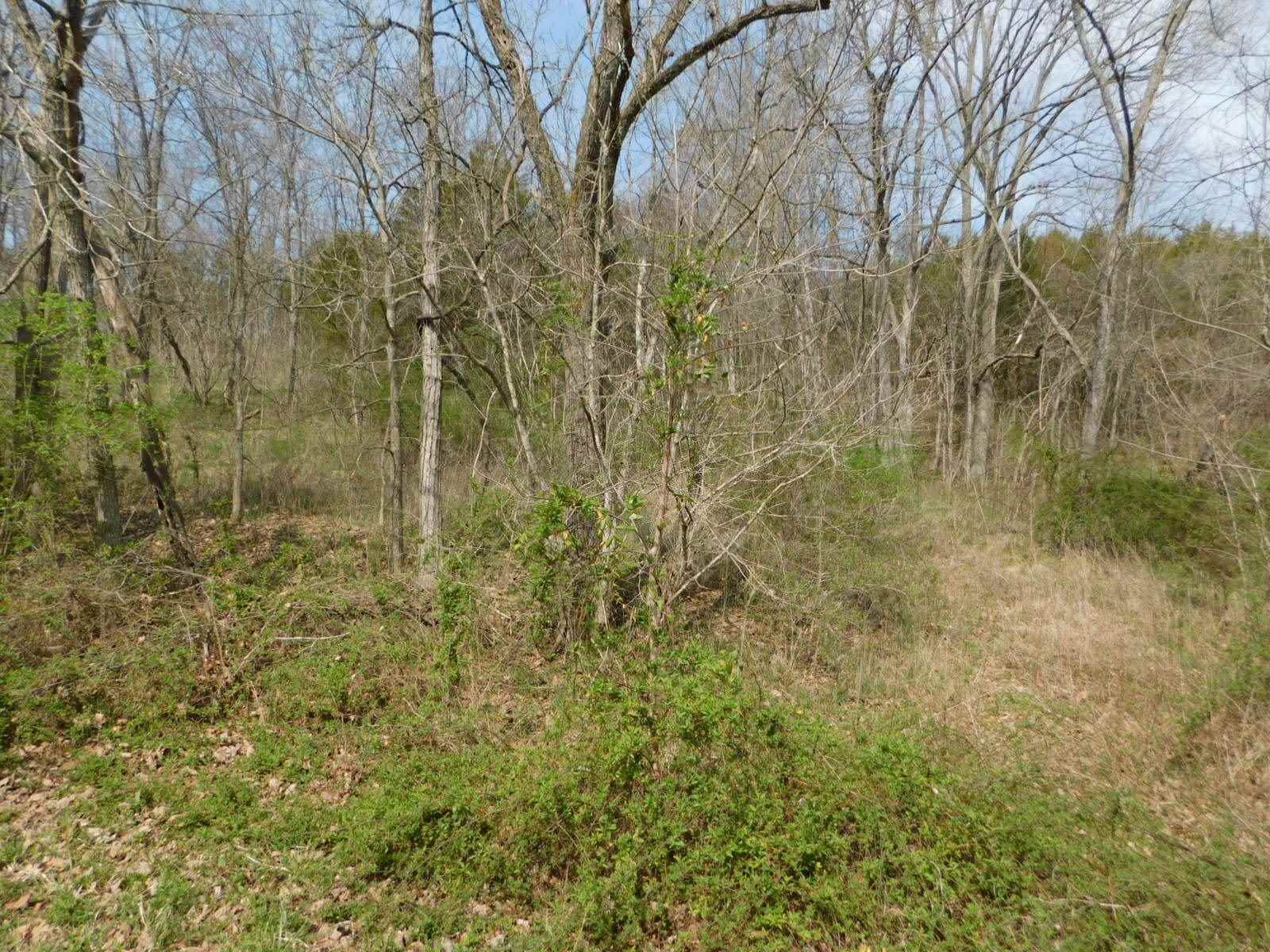 4. Land for Sale at Turner Road Turner Road Williamstown, Kentucky 41097 United States