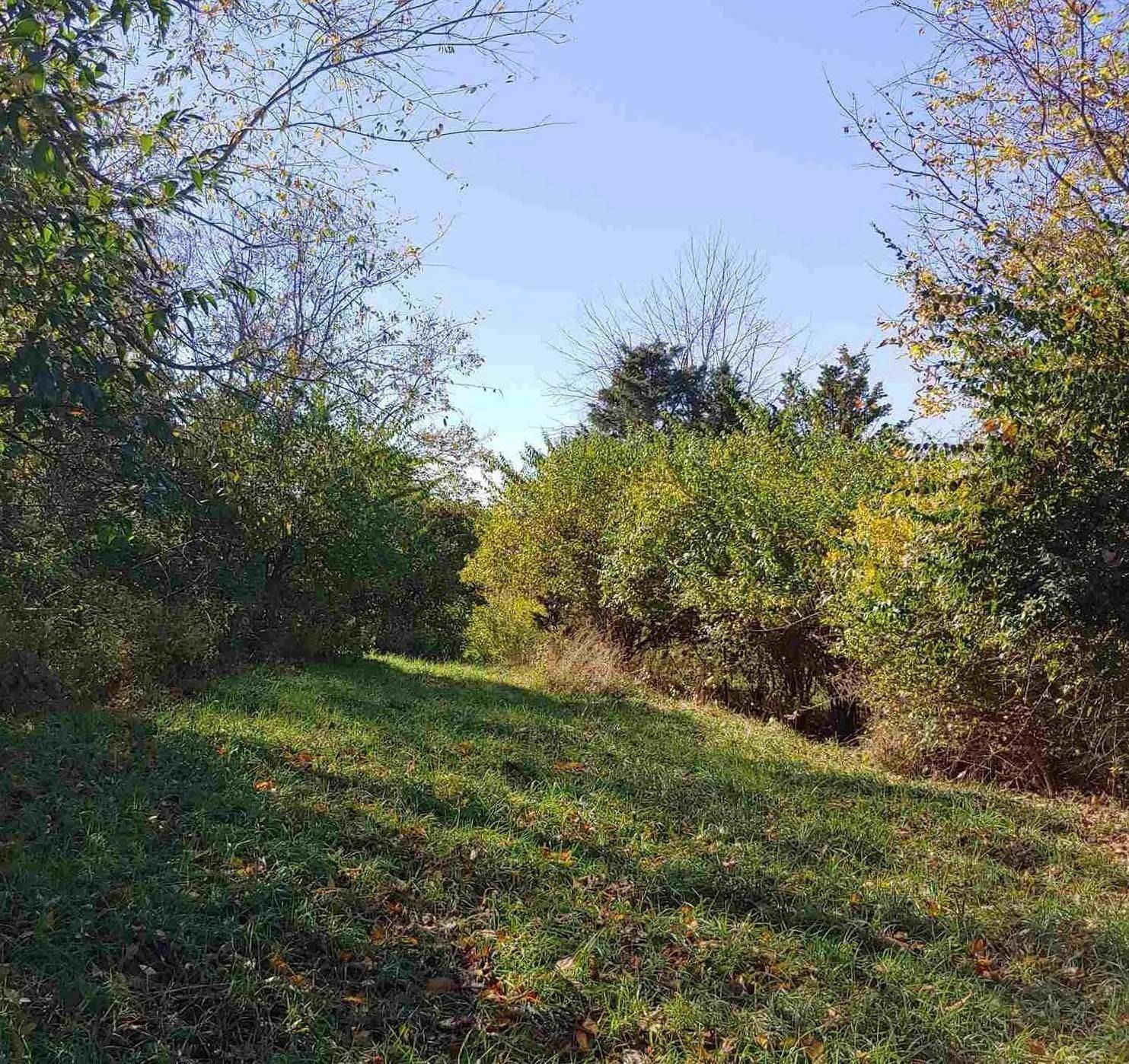 Single Family Homes for Sale at Tract #7 Woeste Road Tract #7 Woeste Road Alexandria, Kentucky 41001 United States