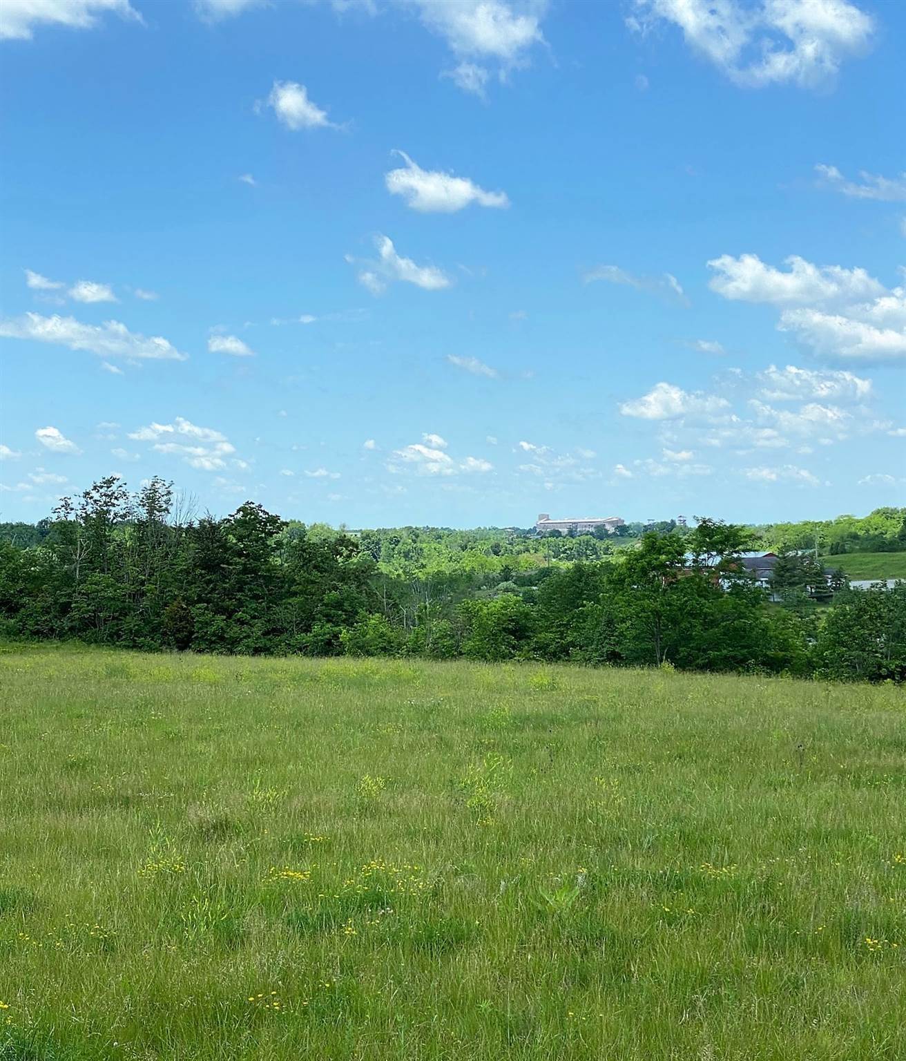 9. Land for Sale at Lot 1 Noah's Way Lot 1 Noah's Way Williamstown, Kentucky 41097 United States