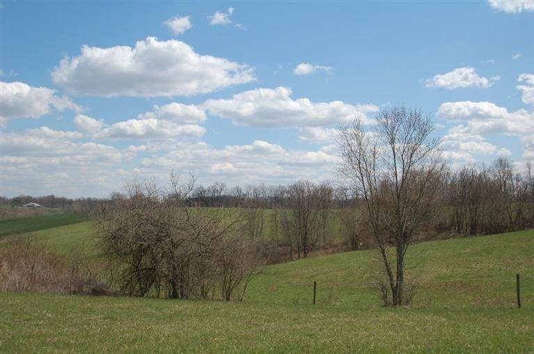 2. Land for Sale at 11147 Stafford Heights Road 11147 Stafford Heights Road Independence, Kentucky 41051 United States