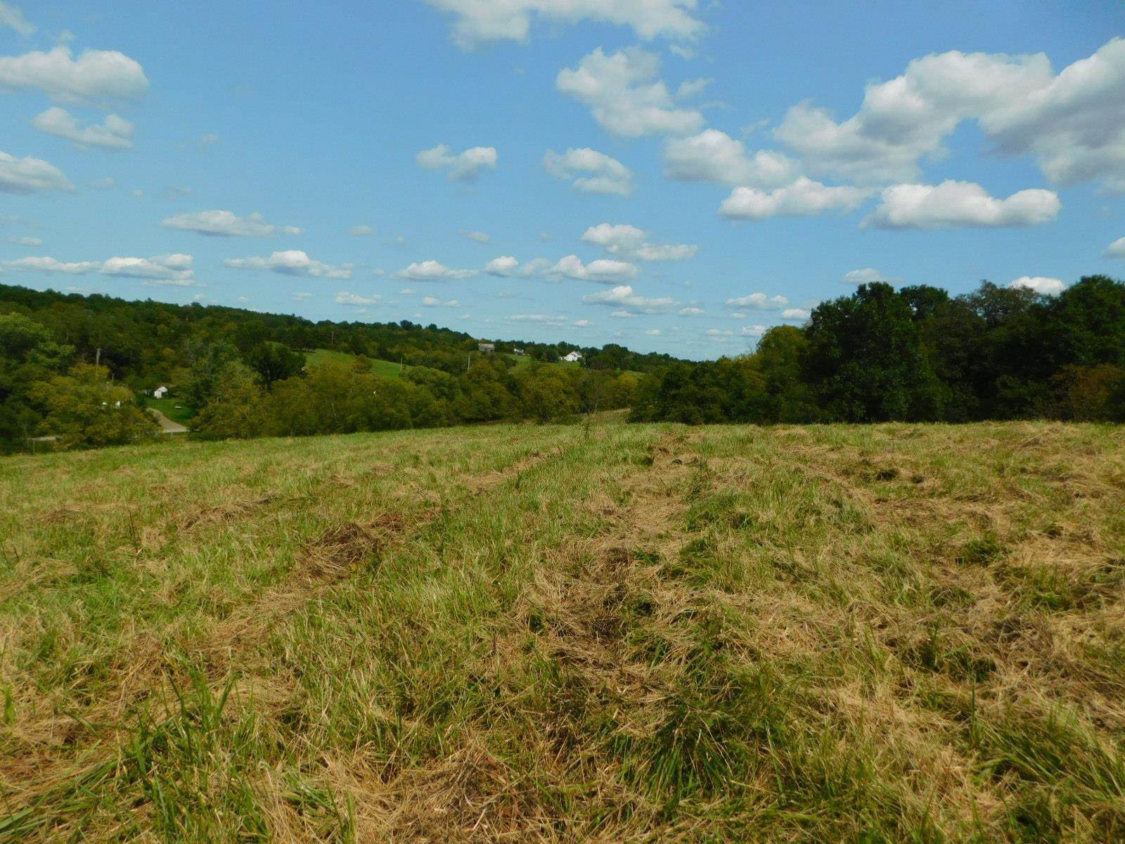 15. Land for Sale at scaffold Lick Road scaffold Lick Road Berry, Kentucky 41003 United States
