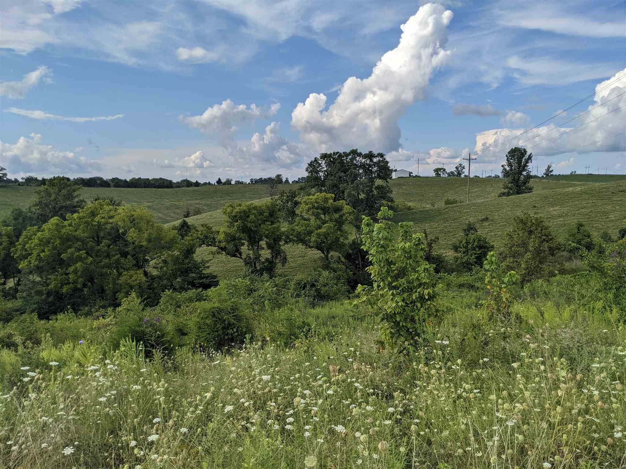 11. Land for Sale at 0 Georgetown Road 0 Georgetown Road Owenton, Kentucky 40359 United States