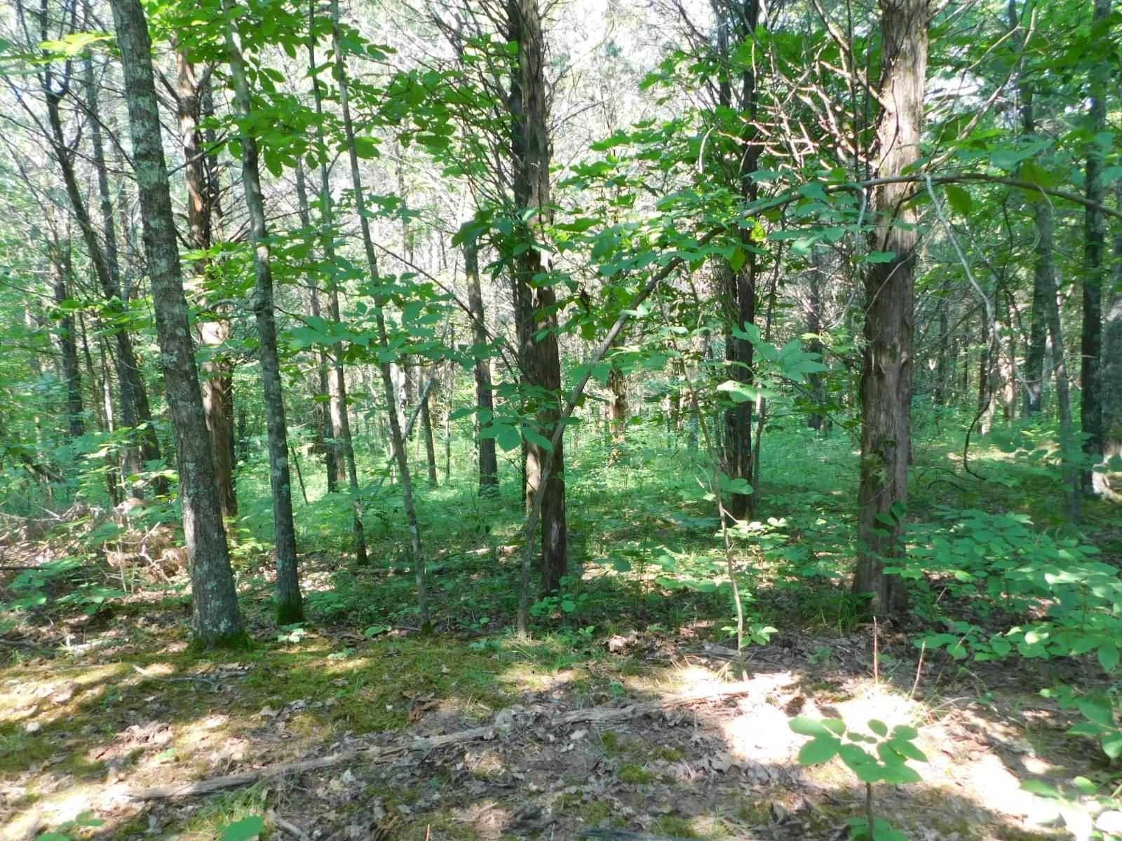19. Land for Sale at Fox Trail Fox Trail Corinth, Kentucky 41010 United States