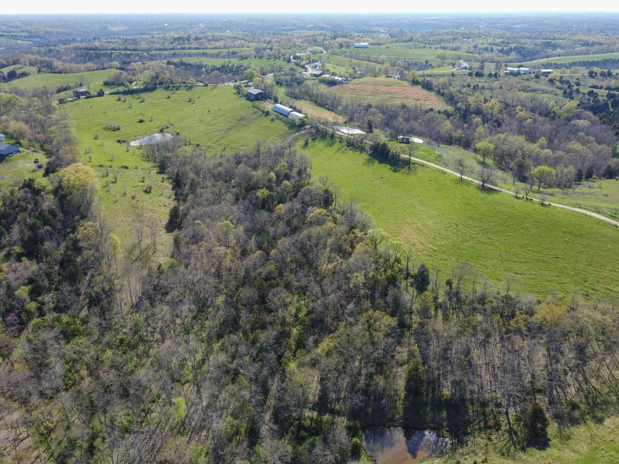 10. Land for Sale at 0 Keefer Road - 214.8 Acres 0 Keefer Road - 214.8 Acres Corinth, Kentucky 41010 United States