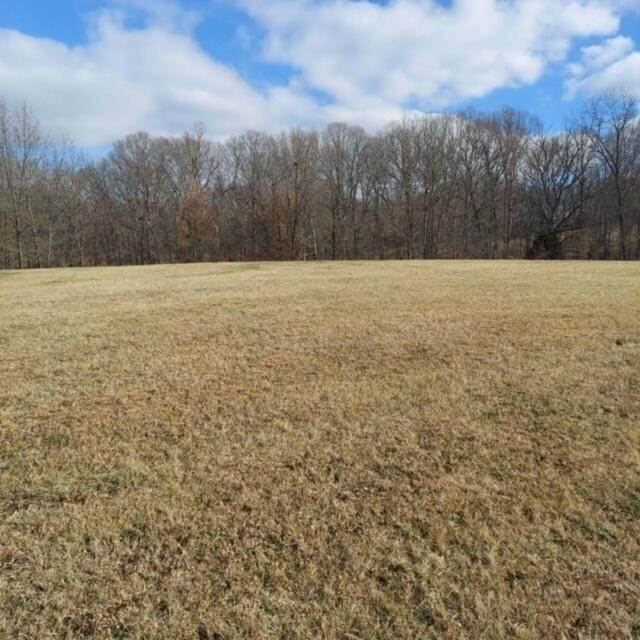Single Family Homes for Sale at 448 Country View Lane 448 Country View Lane Ghent, Kentucky 41045 United States