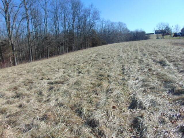 Single Family Homes for Sale at Lot #8 JS Lane Worthville, Kentucky 41098 United States