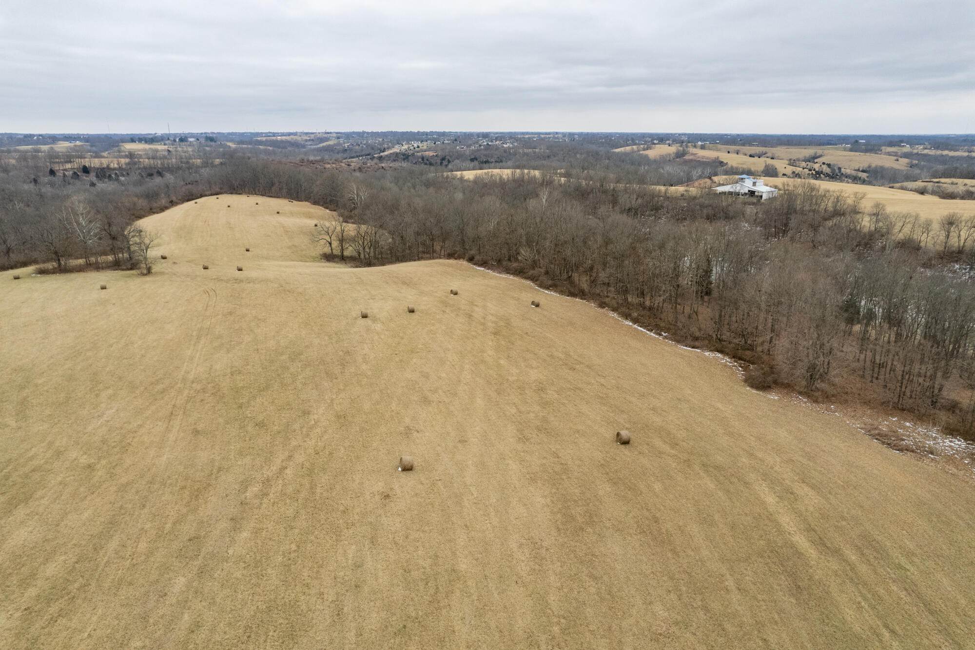 12. Land for Sale at 53.70 Sherman Mt Zion Road Dry Ridge, Kentucky 41035 United States