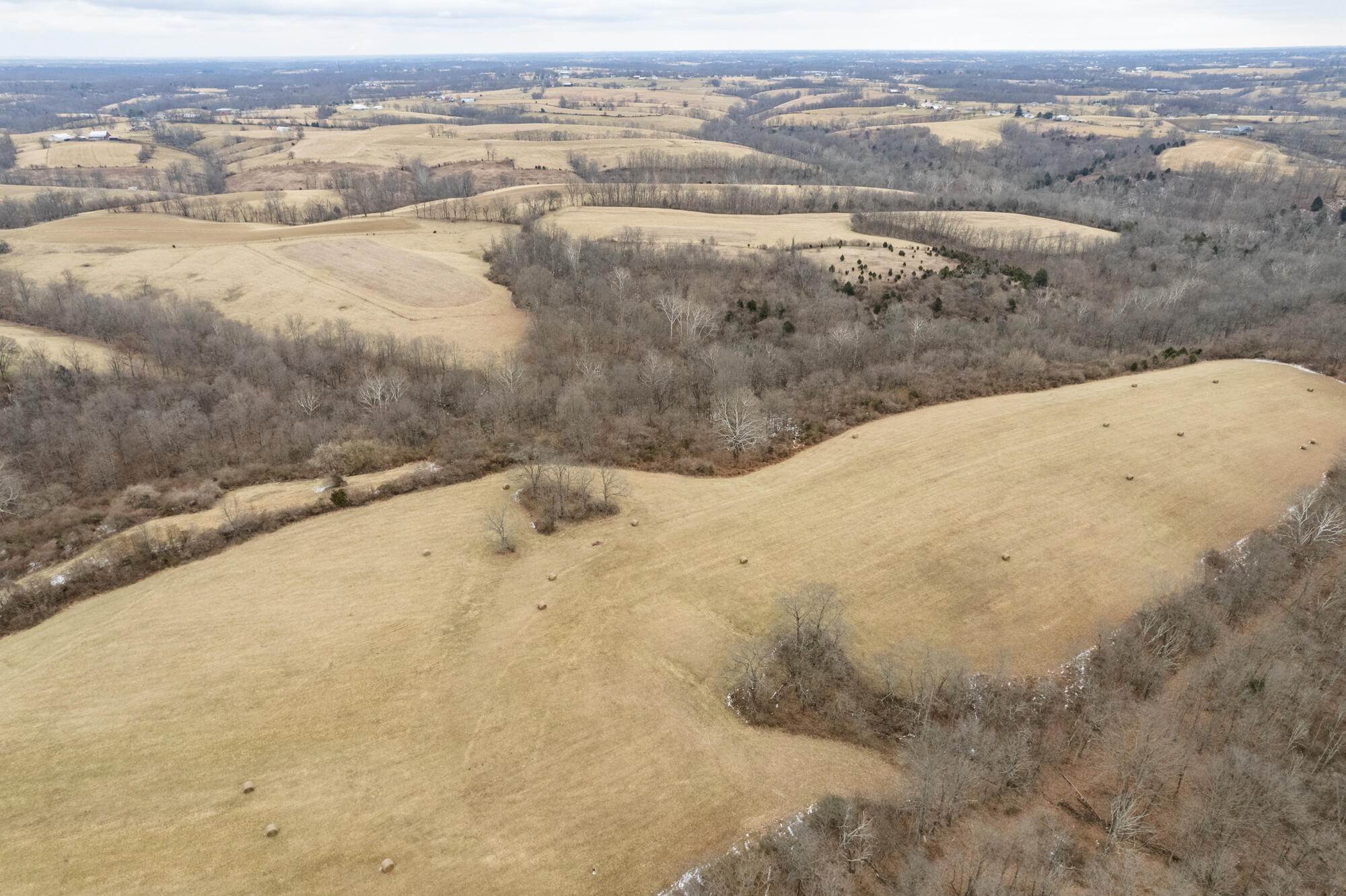 16. Land for Sale at 53.70 Sherman Mt Zion Road Dry Ridge, Kentucky 41035 United States
