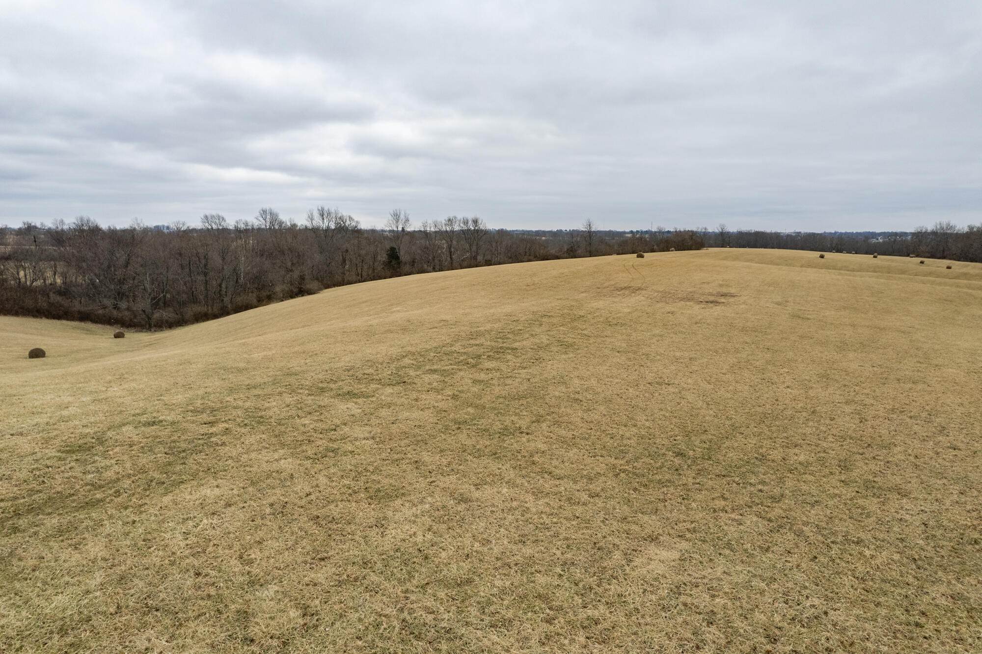 6. Land for Sale at 53.70 Sherman Mt Zion Road Dry Ridge, Kentucky 41035 United States