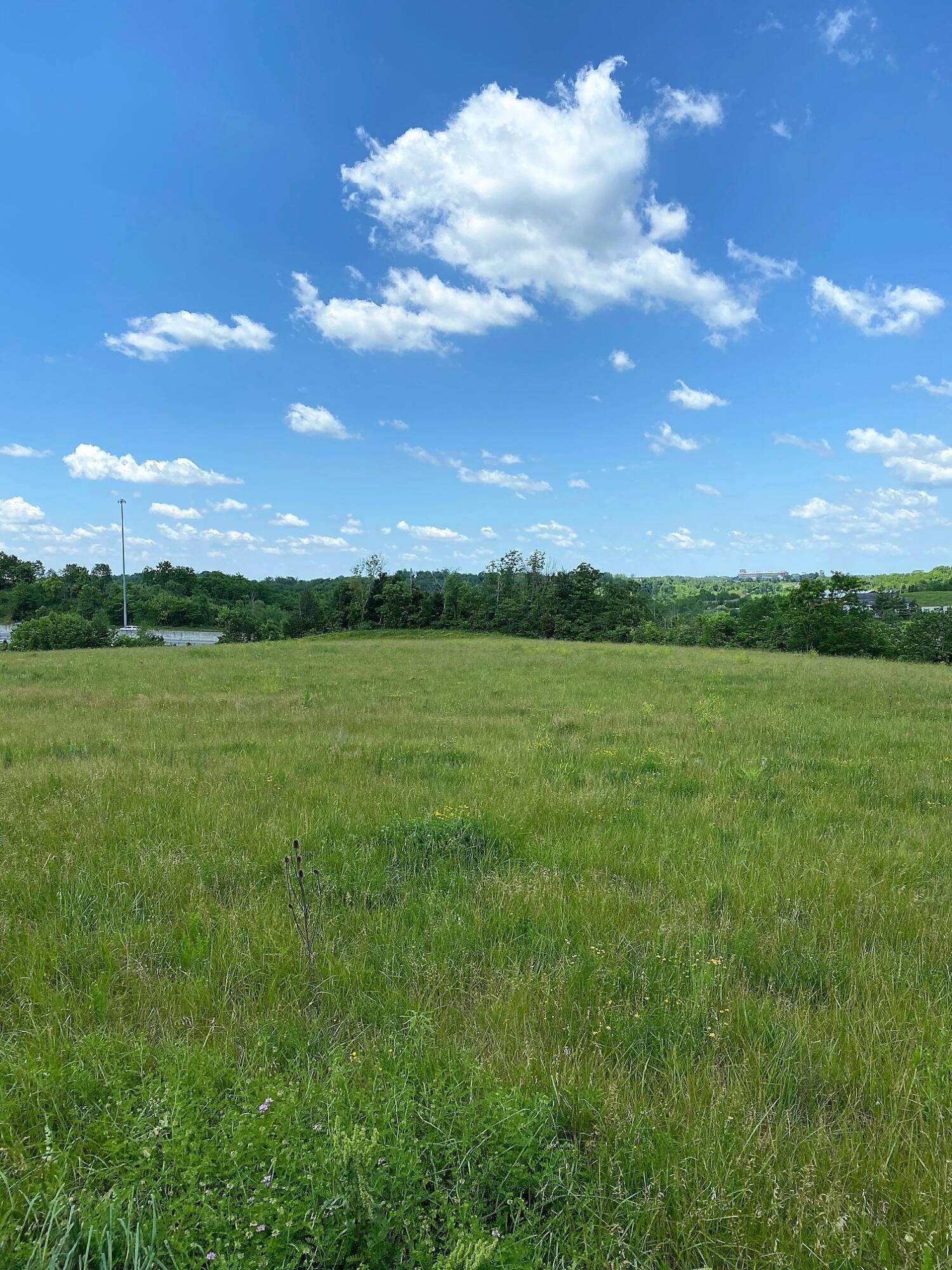 3. Land for Sale at Lot 2B Noahs Way Williamstown, Kentucky 41097 United States