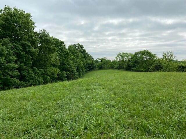 Single Family Homes for Sale at 839 Hidden Acres Mount Olivet, Kentucky 41064 United States