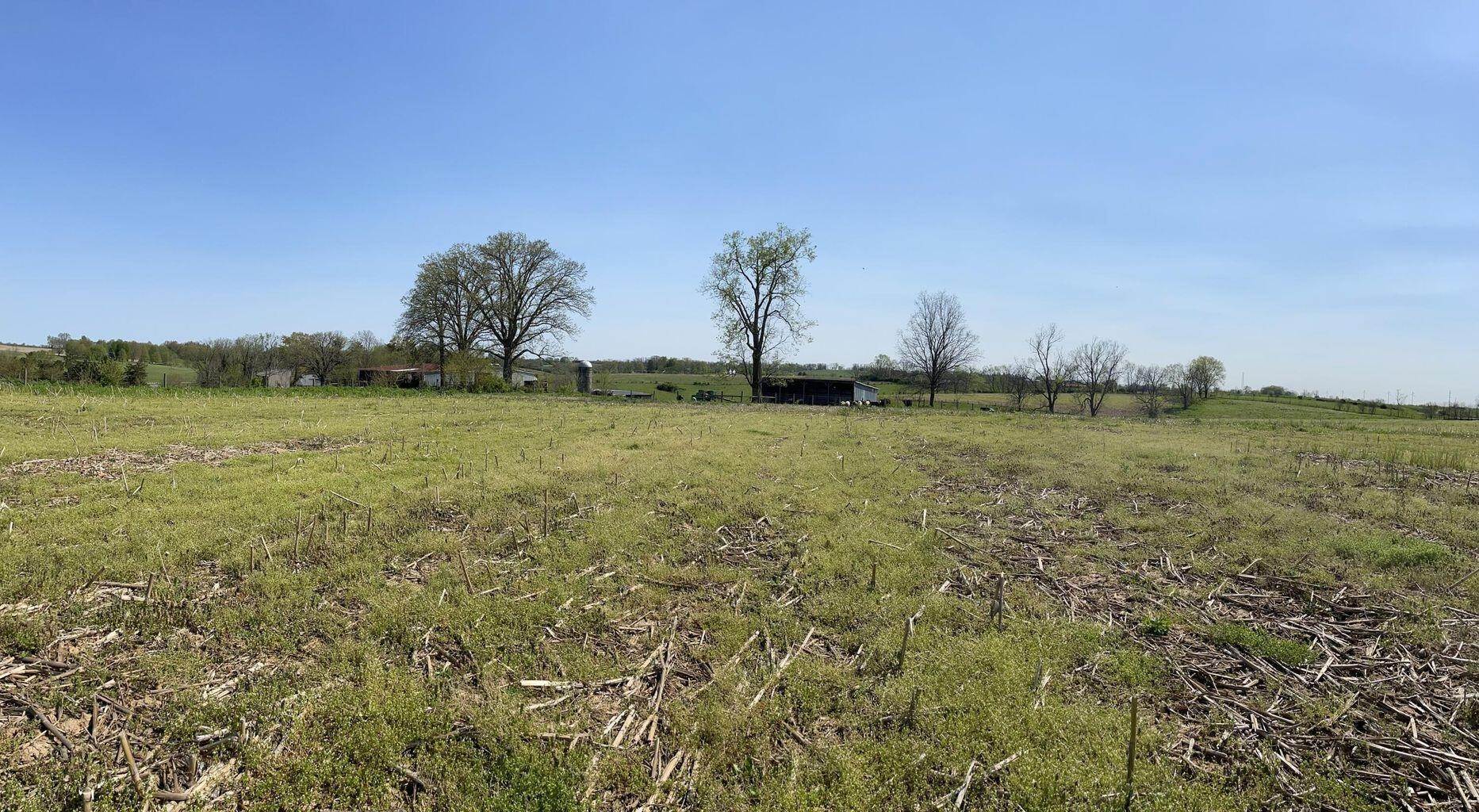 Land for Sale at 1470 US HWY 27 S Cynthiana, Kentucky 41031 United States